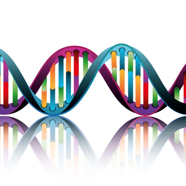 More Than 100 Genes Tied to Autism Identified in Large Study