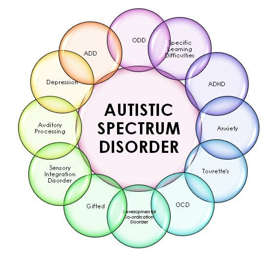 The Autism Spectrum