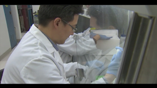 ASU researchers use fecal transplants to help gastrointestinal problems with autism patients