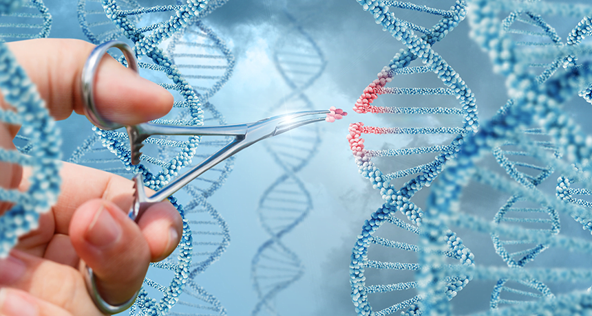 Breakthrough In Autism Research