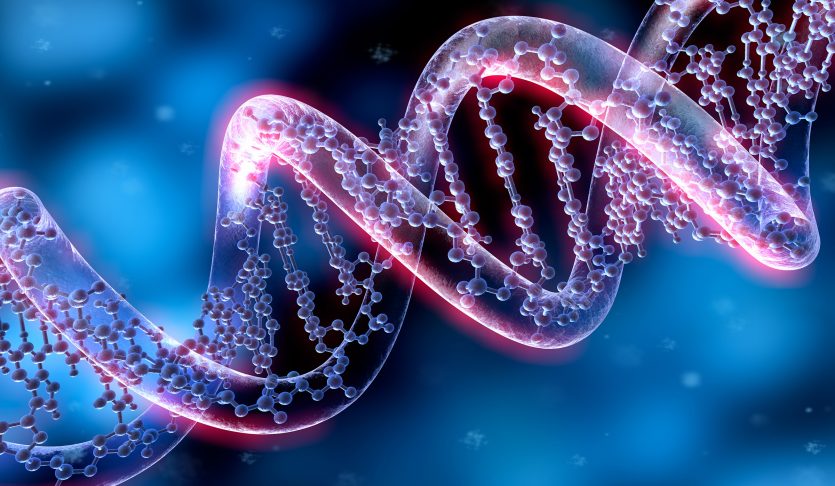 Scientists Investigate New Genetic Causes of Autism and ADHD