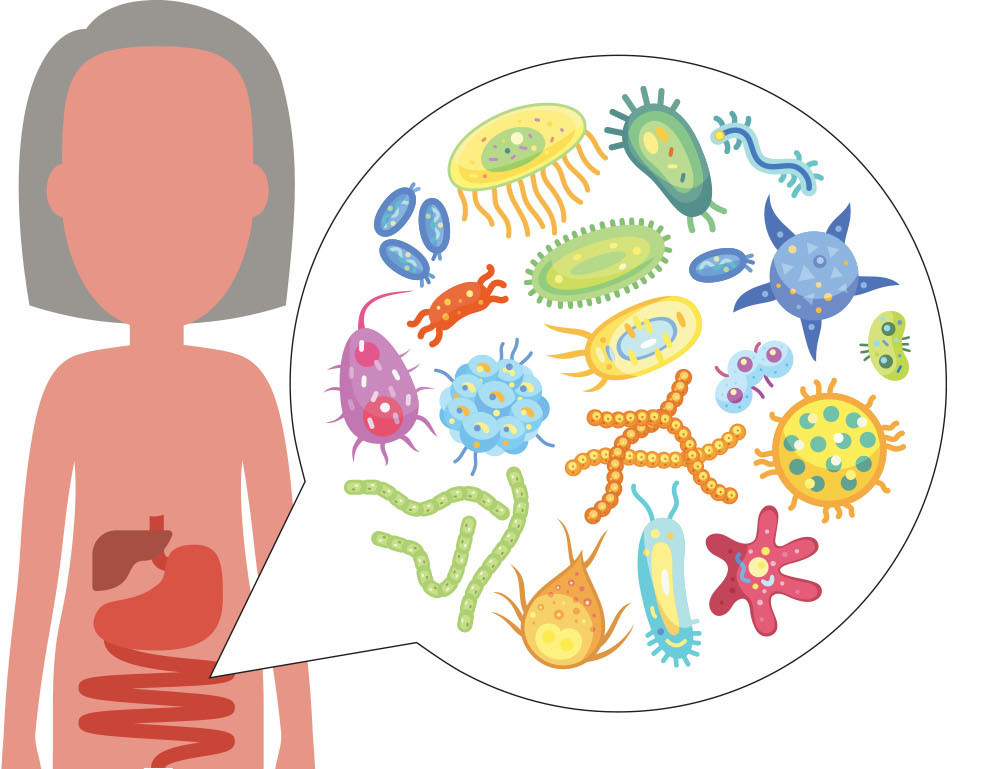 Researchers Have Linked Gut Microbiome to Autism Spectrum Disorder