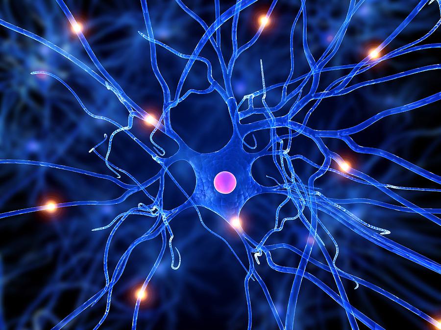 Roche Has a New Autism Medication That Is Showing Promising Results!