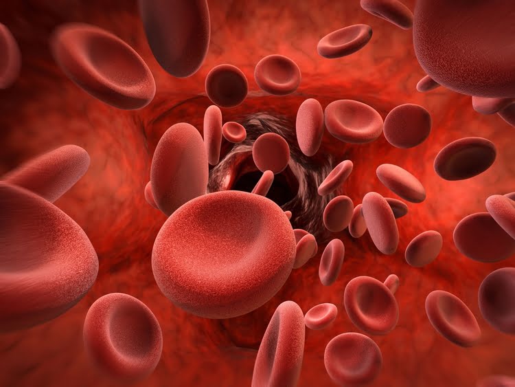 Could Umbilical Cord Blood Hold the Secret to Autism Treatments?