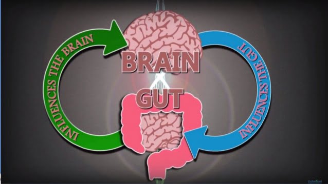 Two Sanders-Brown Studies Have Shown A Connection Between Diet and Cognitive Function