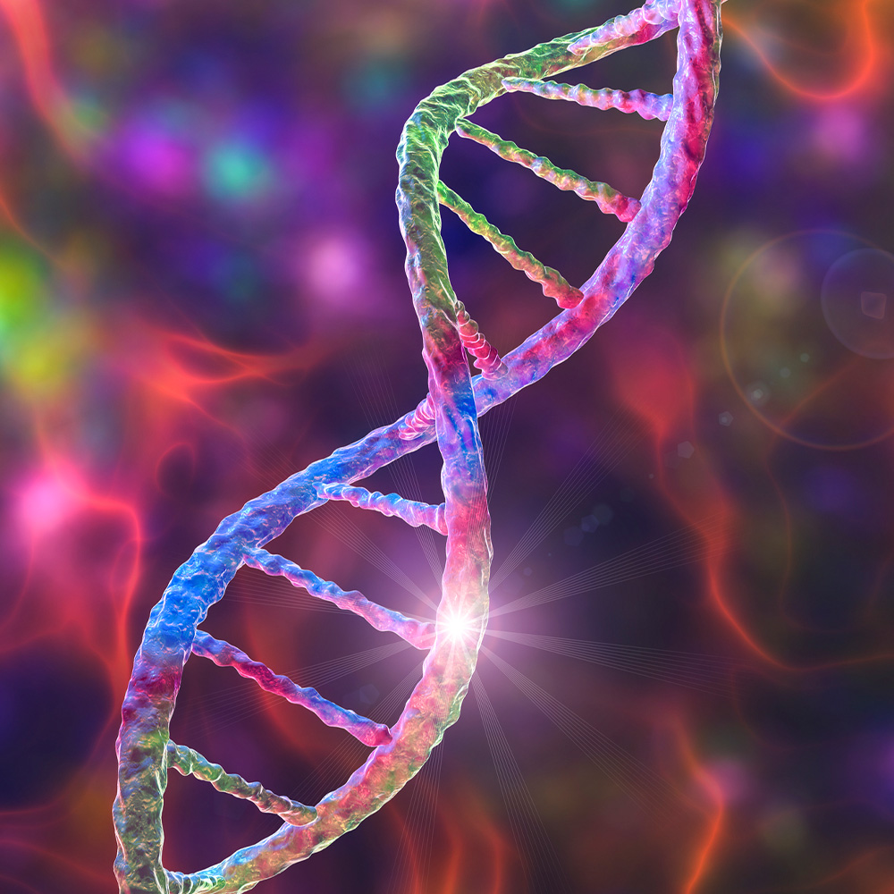 Modified Version of CRISPR Gives Autism-Linked Genes A Boost