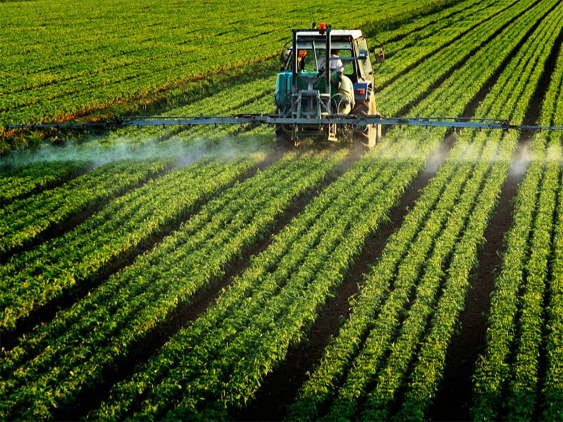 New Research Has Show That Pesticides Could Be Linked To Autism